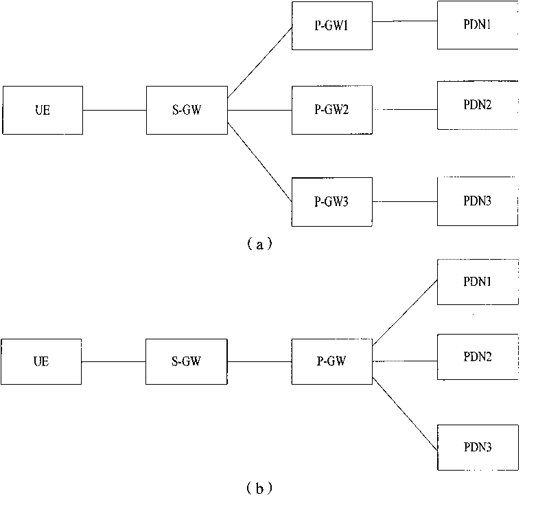 Realization method and system of multi-packet data network connection