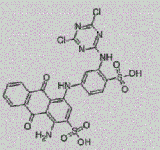 Preparation method for polymeric dye based on hyperbranched polyamine-ester