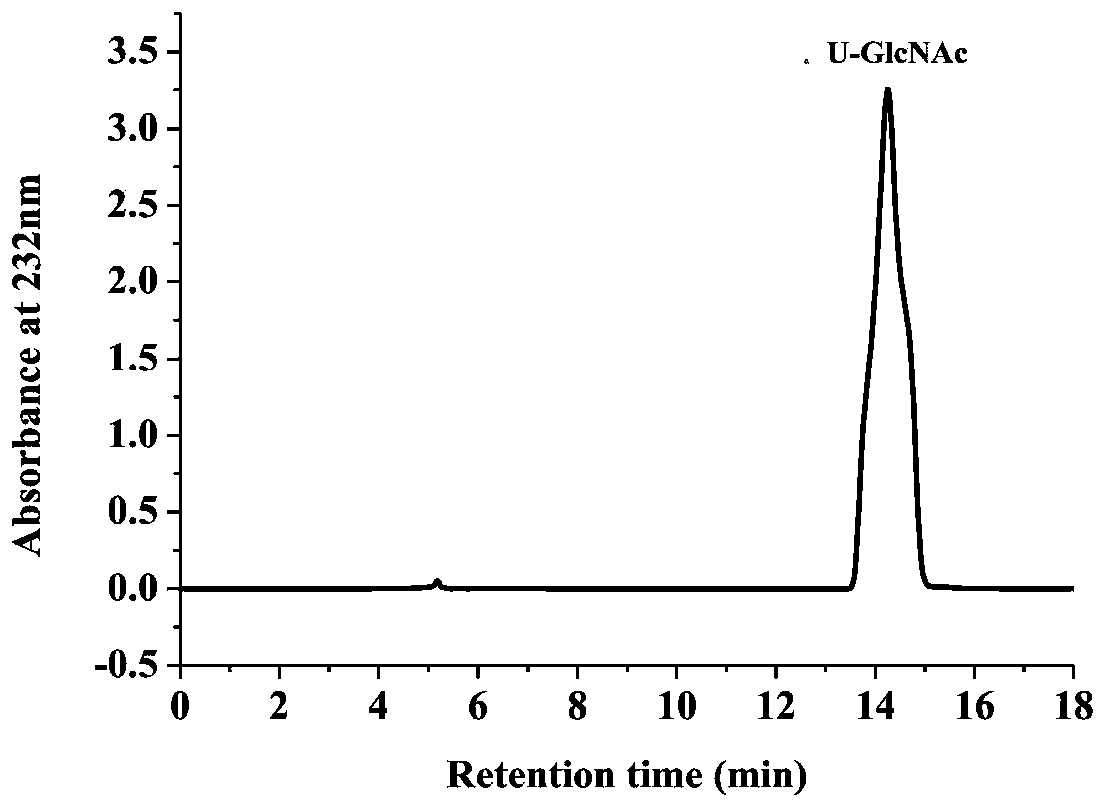 Non-animal-derived LMW (low molecular weight) heparin, preparation method therefor and application of non-animal-derived LMW heparin