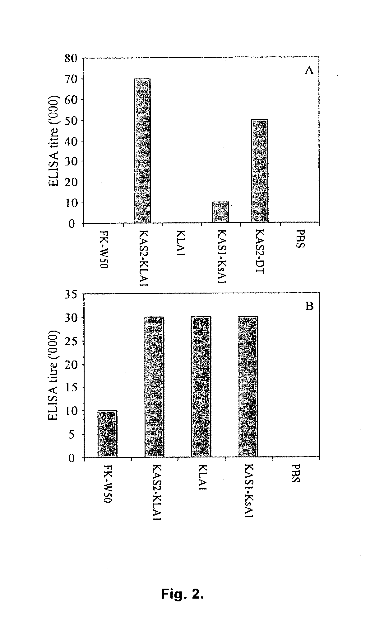 Preventon, treatment and diagnosis of p. gingivalis infection