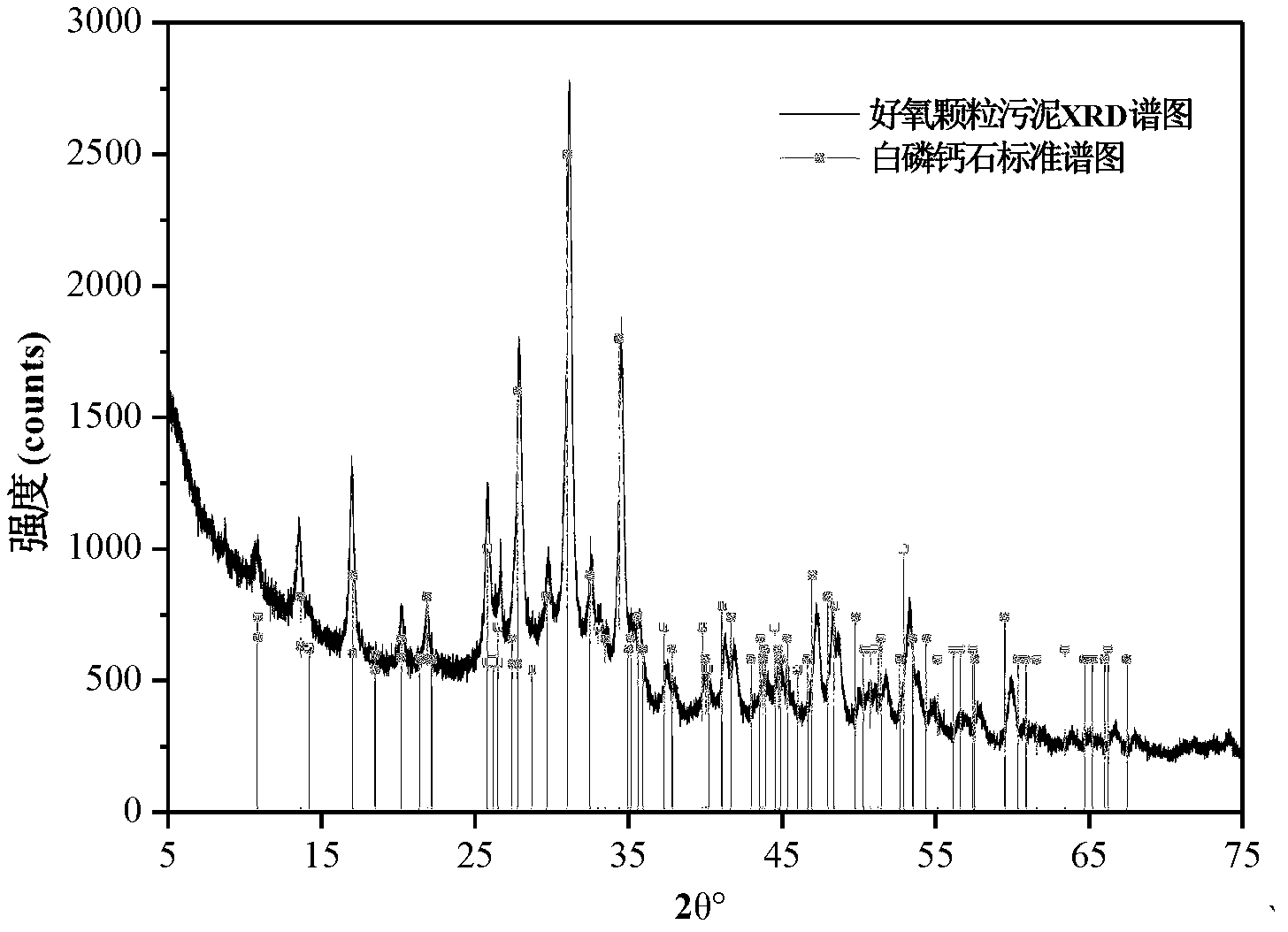 Method for enriching phosphorus by using aerobic granular sludge