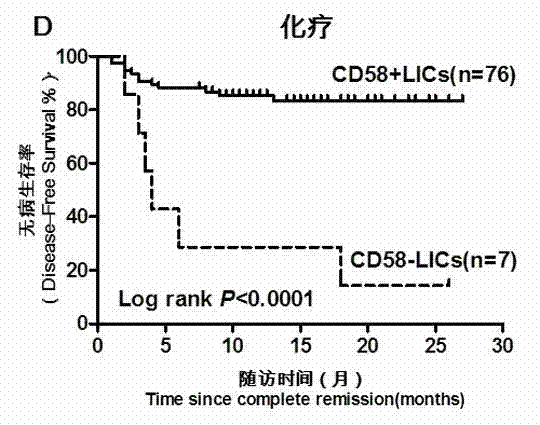 Acute B-lymphocyte leukemia initiated cell phenetic classification kit and application thereof