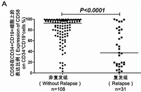 Acute B-lymphocyte leukemia initiated cell phenetic classification kit and application thereof