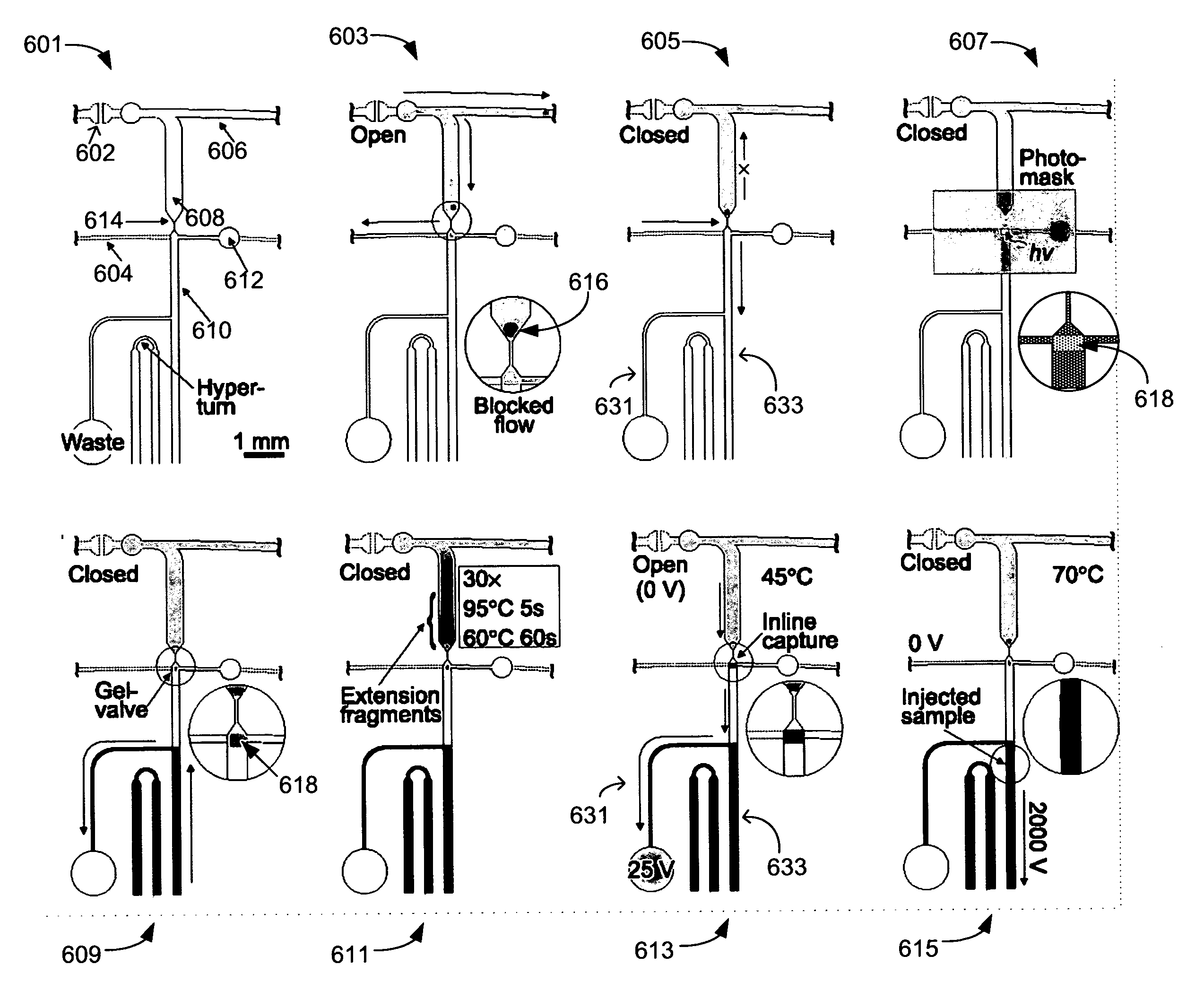 Inline-injection microdevice and microfabricated integrated DNA analysis system using same