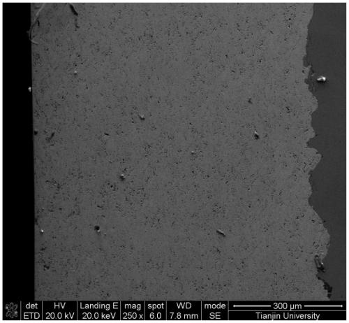 Preparation method of reinforced ceramic three-dimensional constraint coating