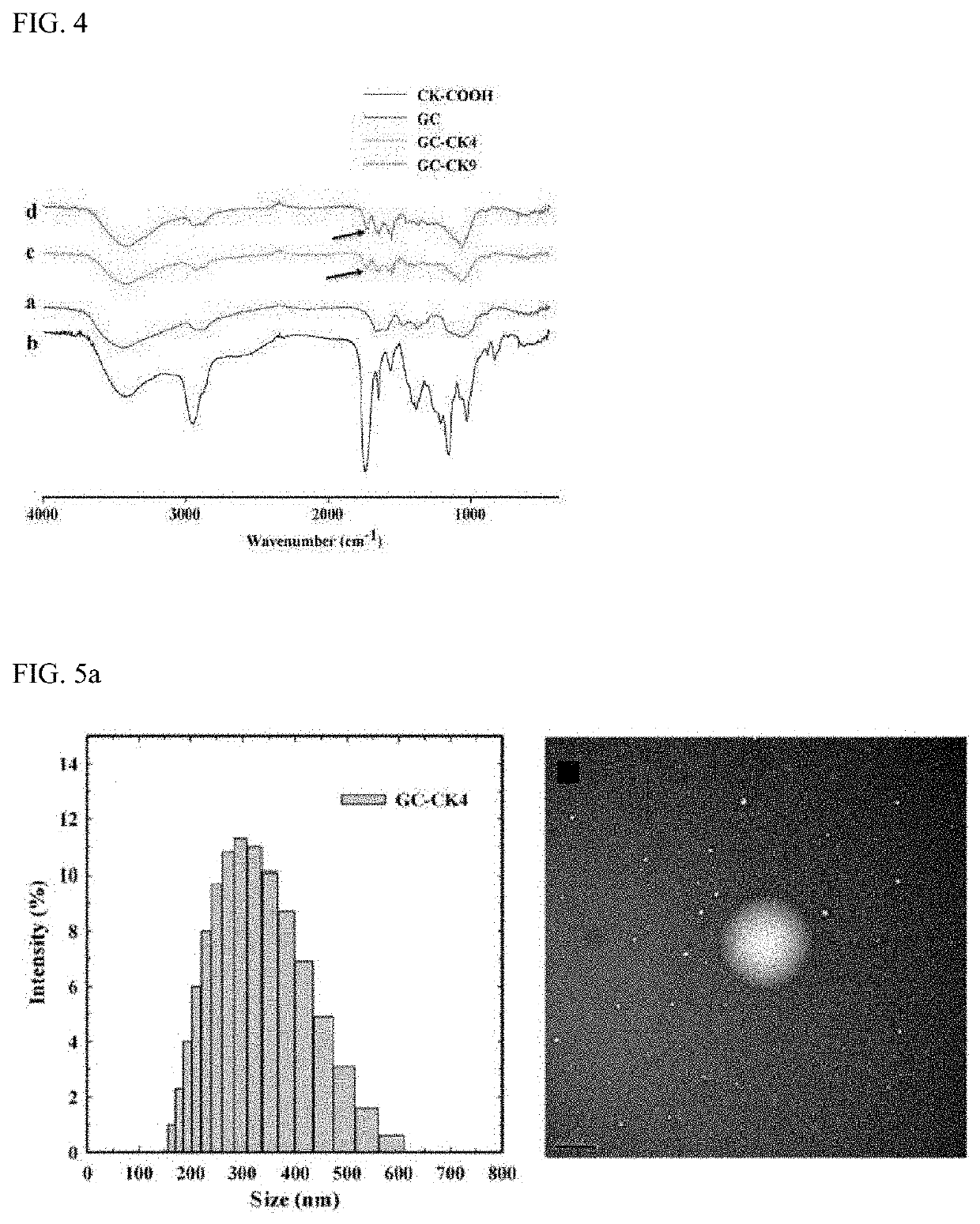 Conjugate of ginsenoside compound k and glycol chitosan and an Anti-tumor use thereof