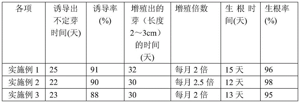 A group of rapid propagation medium for vines