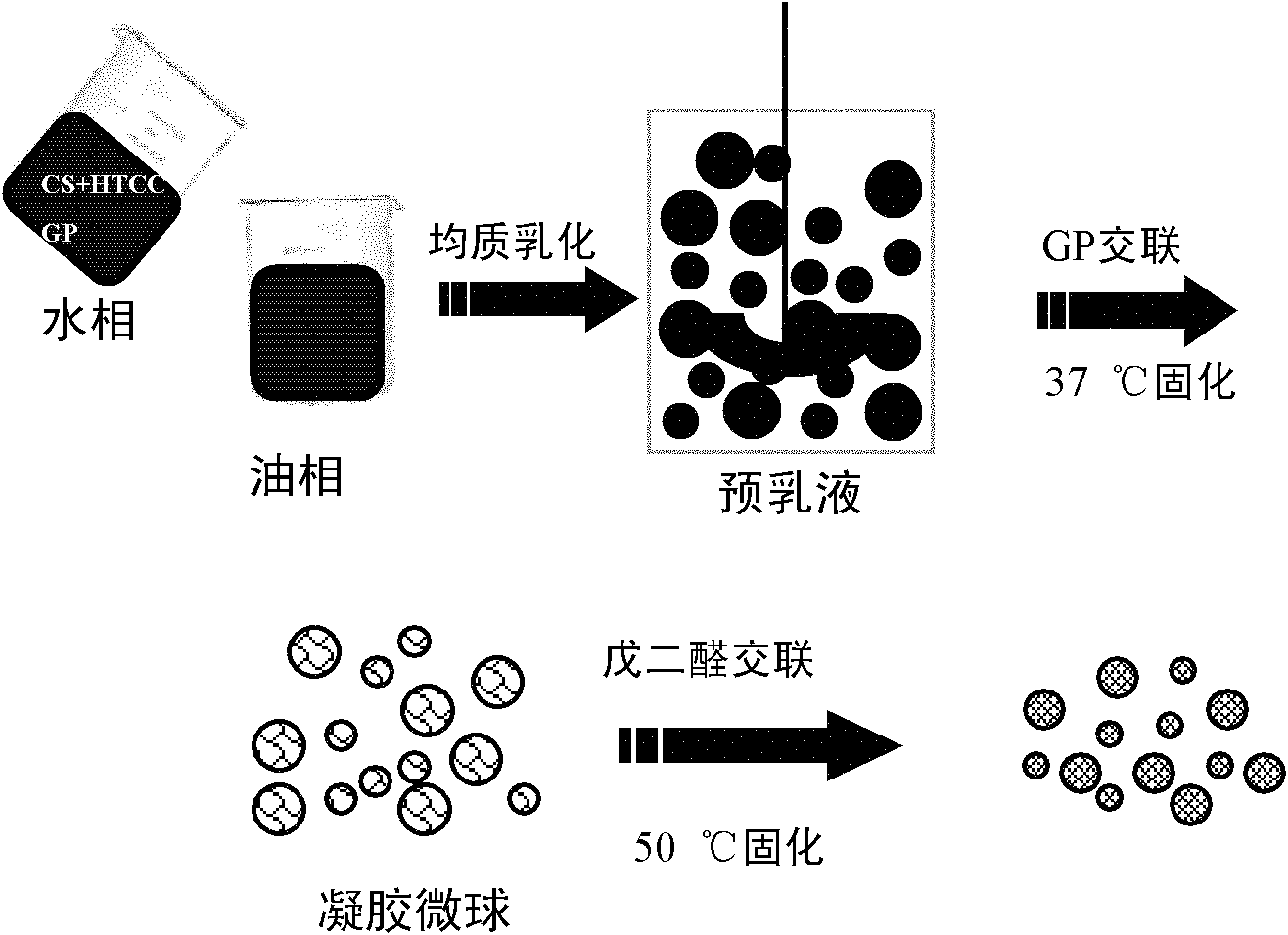 Gastric targeted drug carrier and preparation method thereof