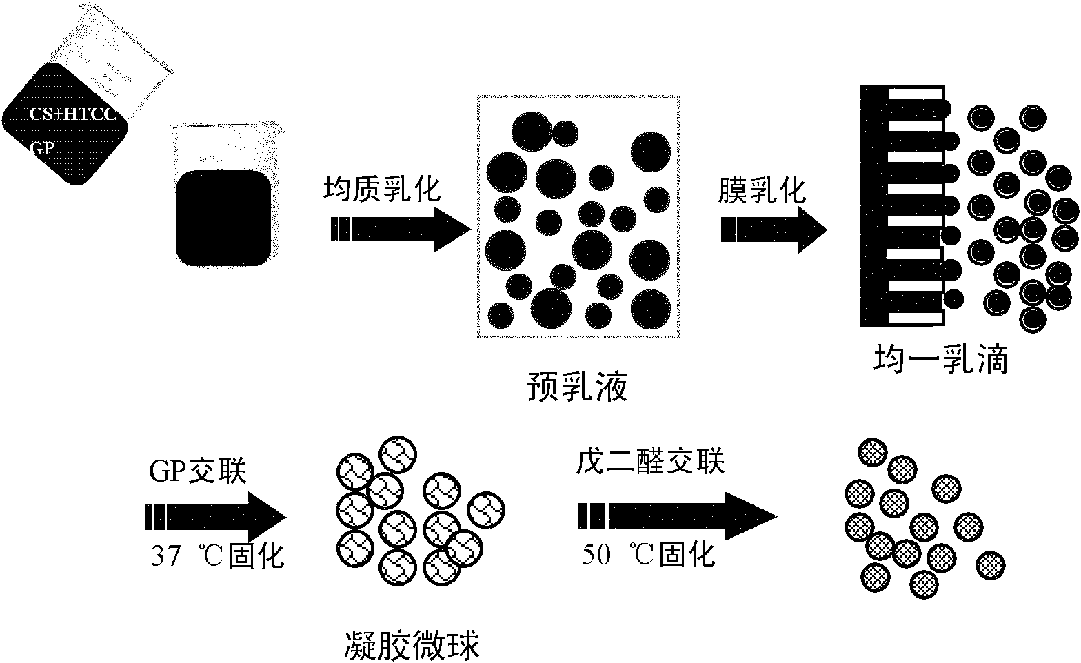 Gastric targeted drug carrier and preparation method thereof