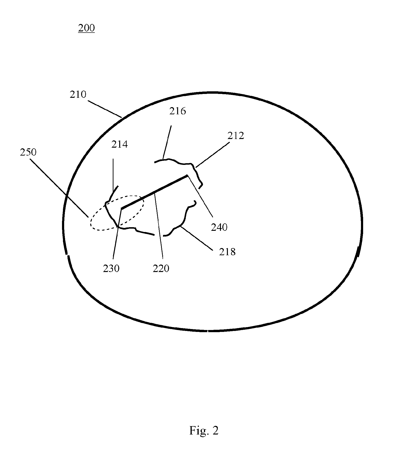 Measurement system for medical images