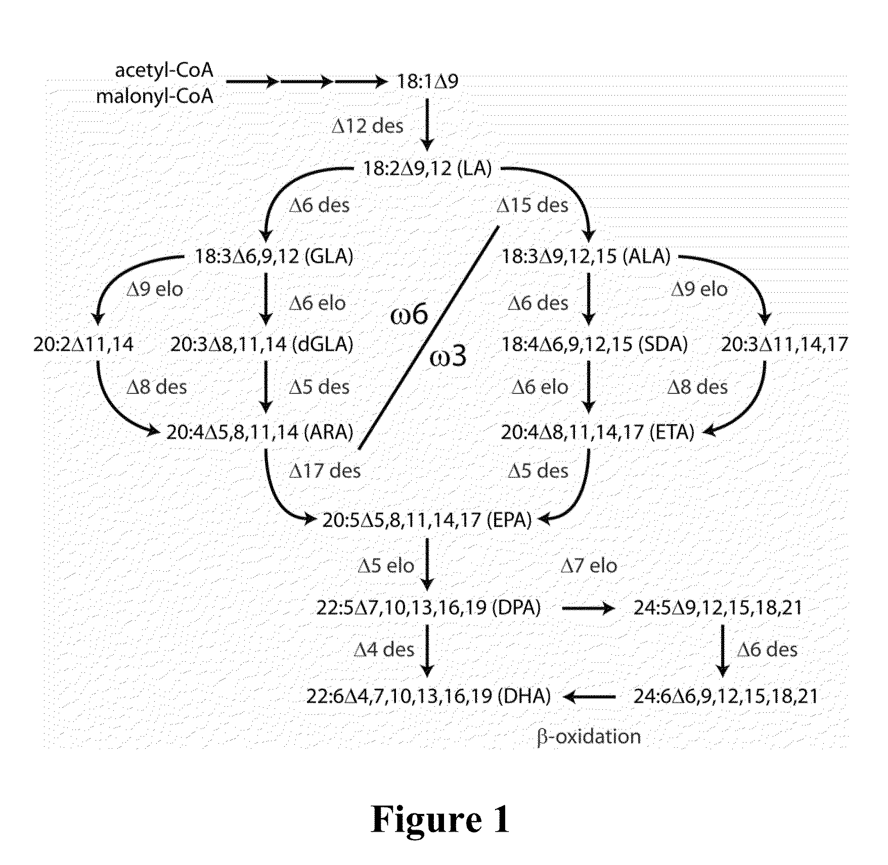 Lipid comprising polyunsaturated fatty acids