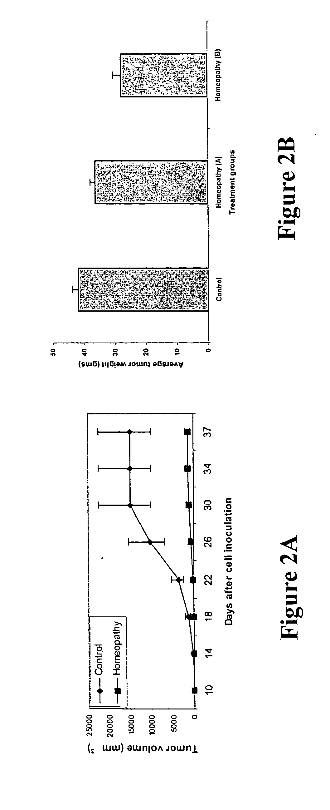 Homeopathic compositions and methods for the treatment of cancer