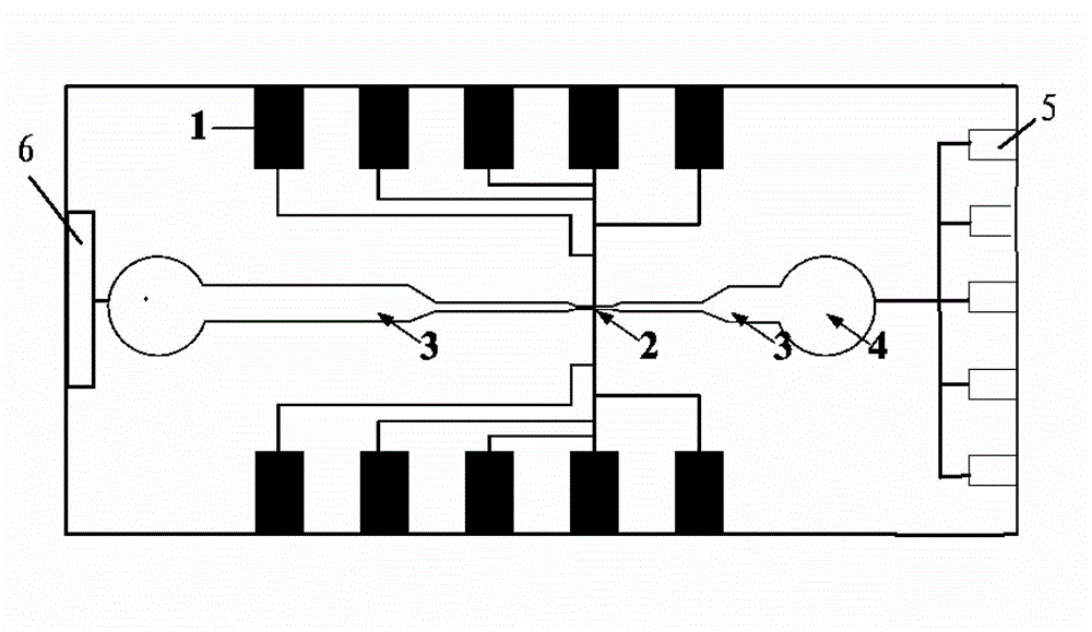 Nanoscale detection chip