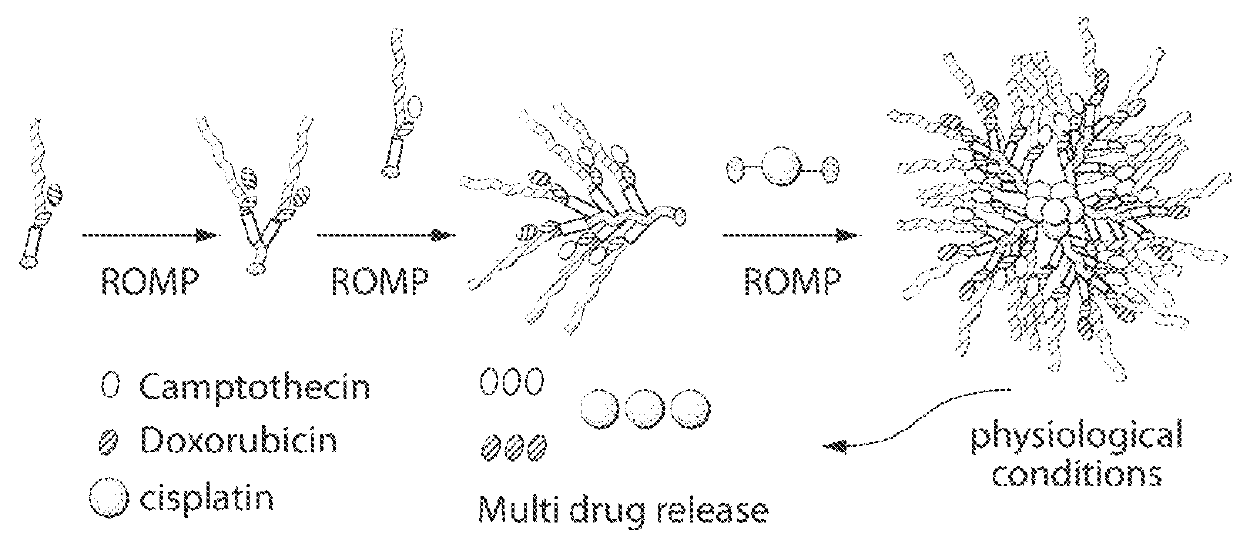 Drug delivery polymer and uses thereof