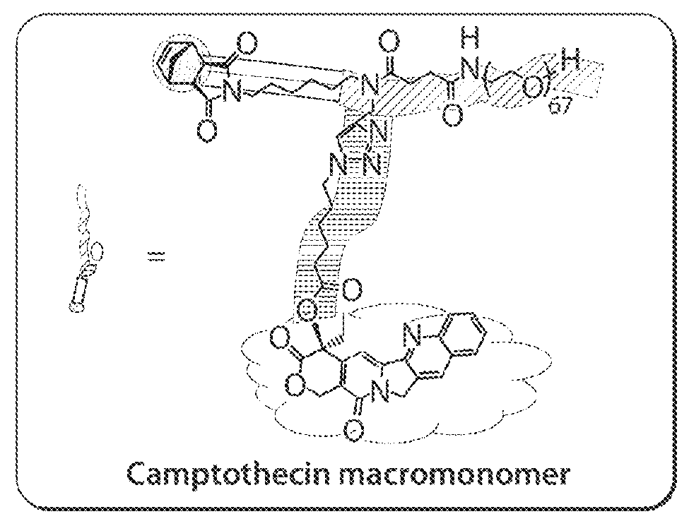 Drug delivery polymer and uses thereof