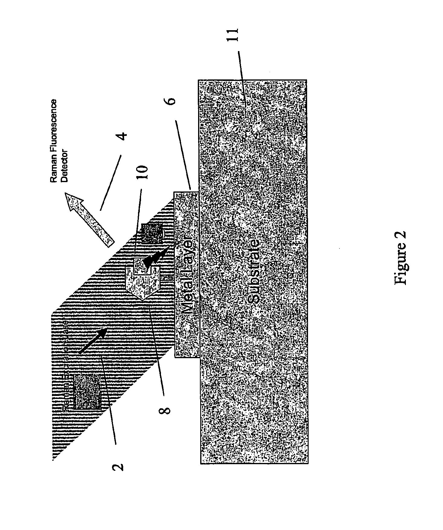 Molecular detector arrangement