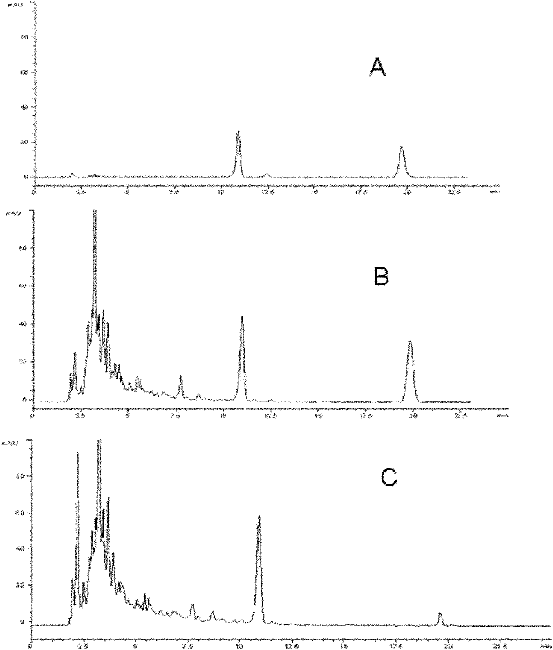 Daunorubicin and adriamycin producing engineered pseudomonas