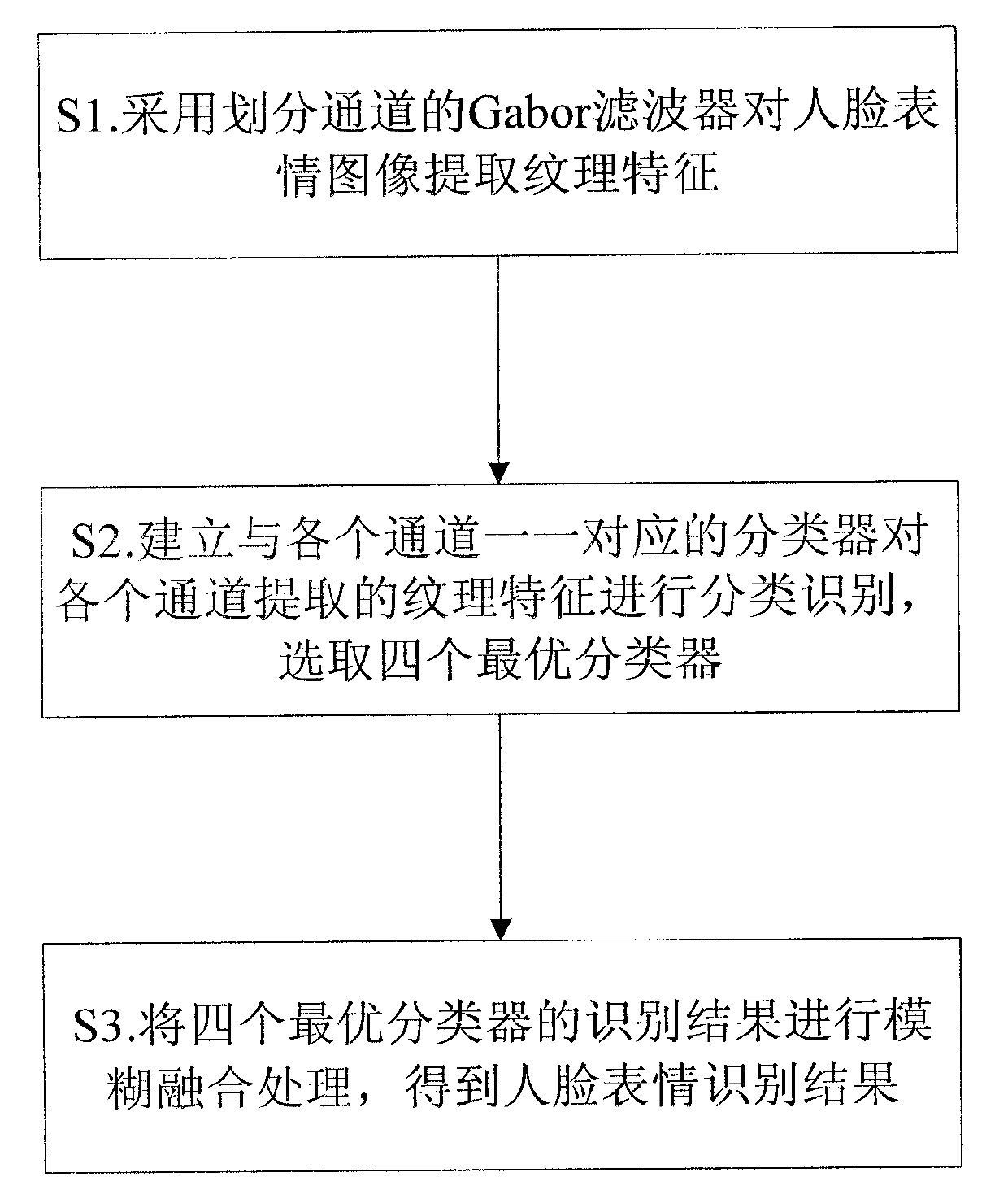 Facial expression recognizing method based on Gabor transform optimal channel blur fusion