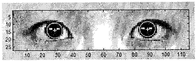 Facial expression recognizing method based on Gabor transform optimal channel blur fusion