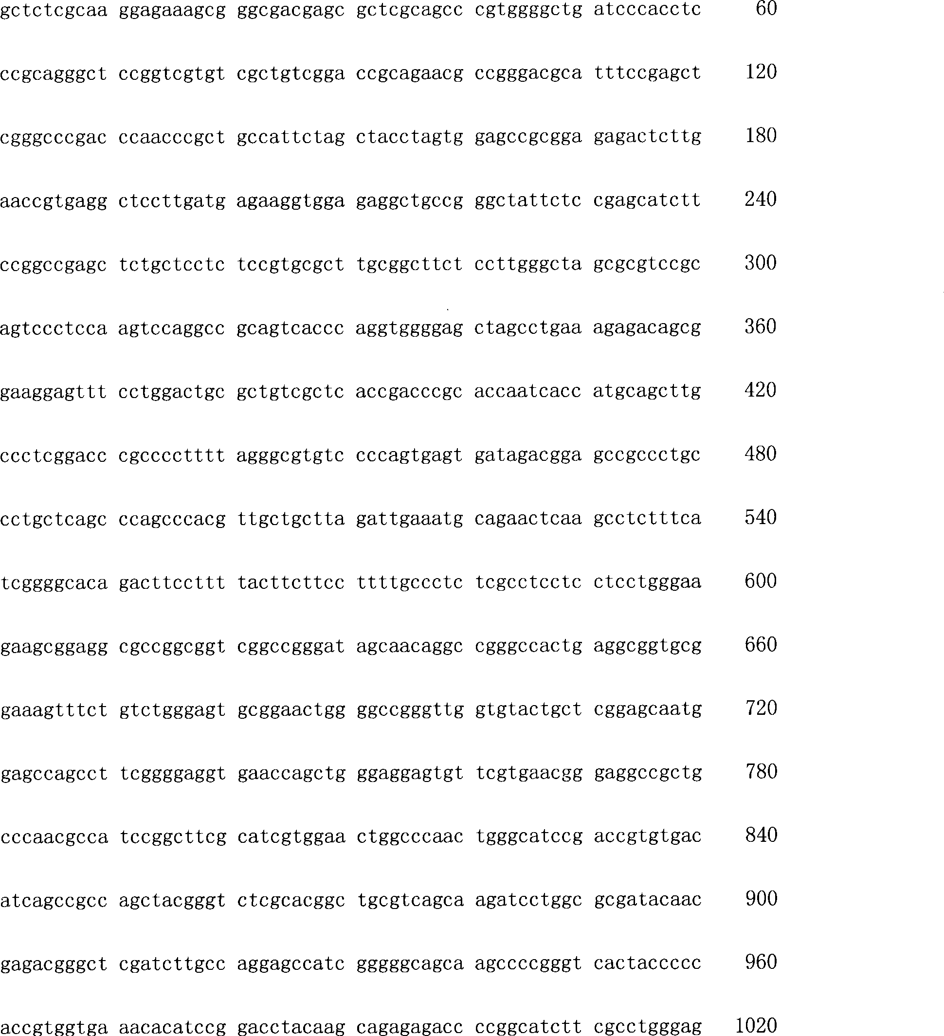 In situ hybridization detection kit for PAX9 gene, and detecting method and use thereof