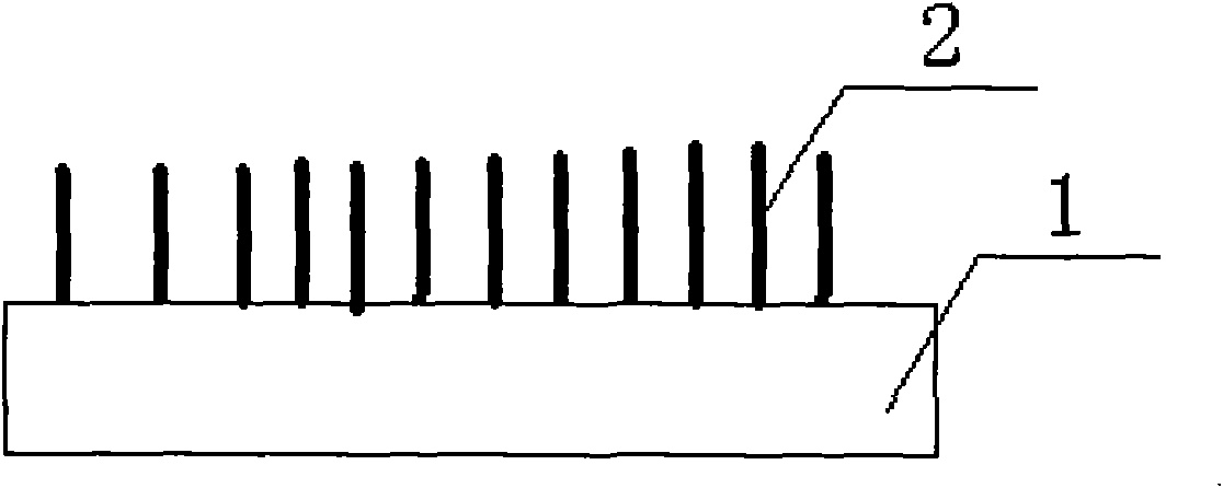 Carbon nanotube electron emitter and preparation method thereof