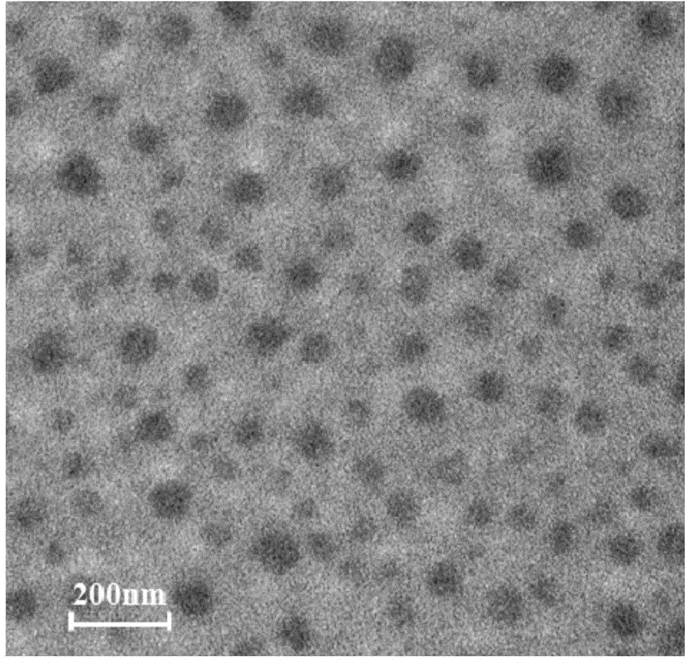 Convertible surface charge nano-gel, preparation method thereof and convertible surface charge nano-gel drug-loaded particle