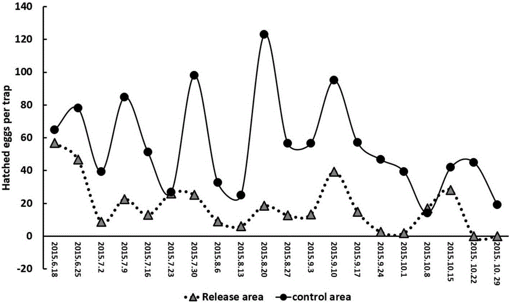 Preparation method of aedes albopictus stably carrying culex quinquefasciatus wolbachia and application of aedes albopictus stably carrying culex quinquefasciatus wolbachia to prevention and control of aedes albopictus