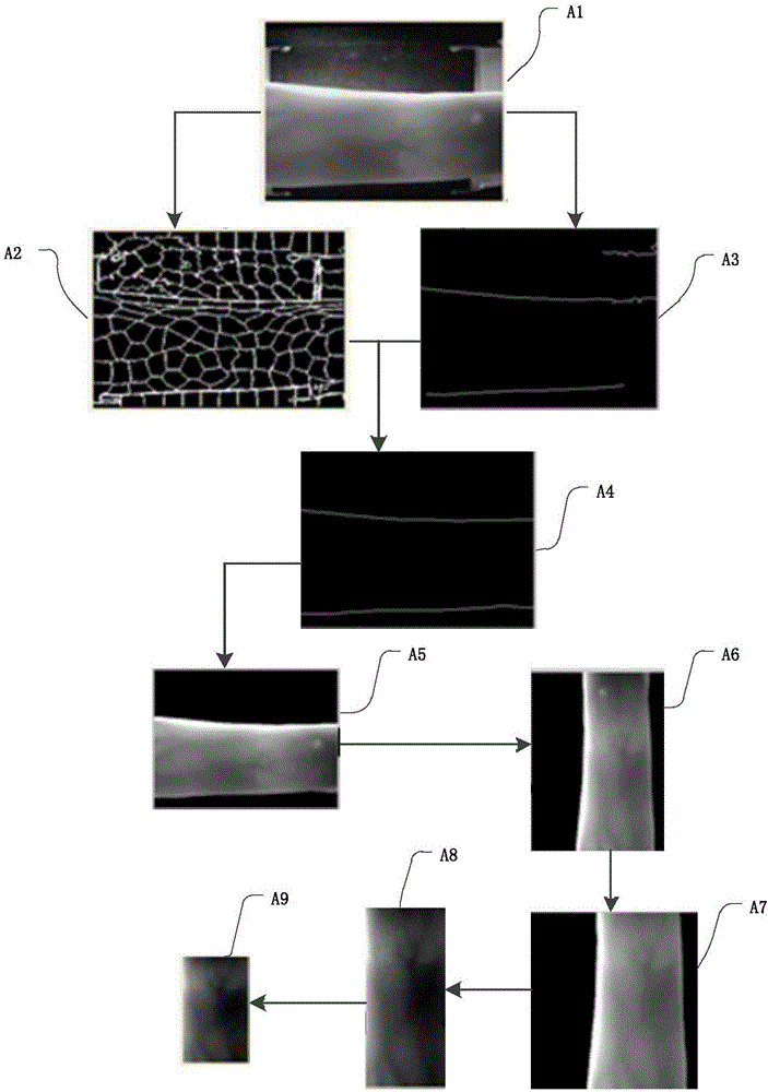 ROI image extraction method in finger vein identification