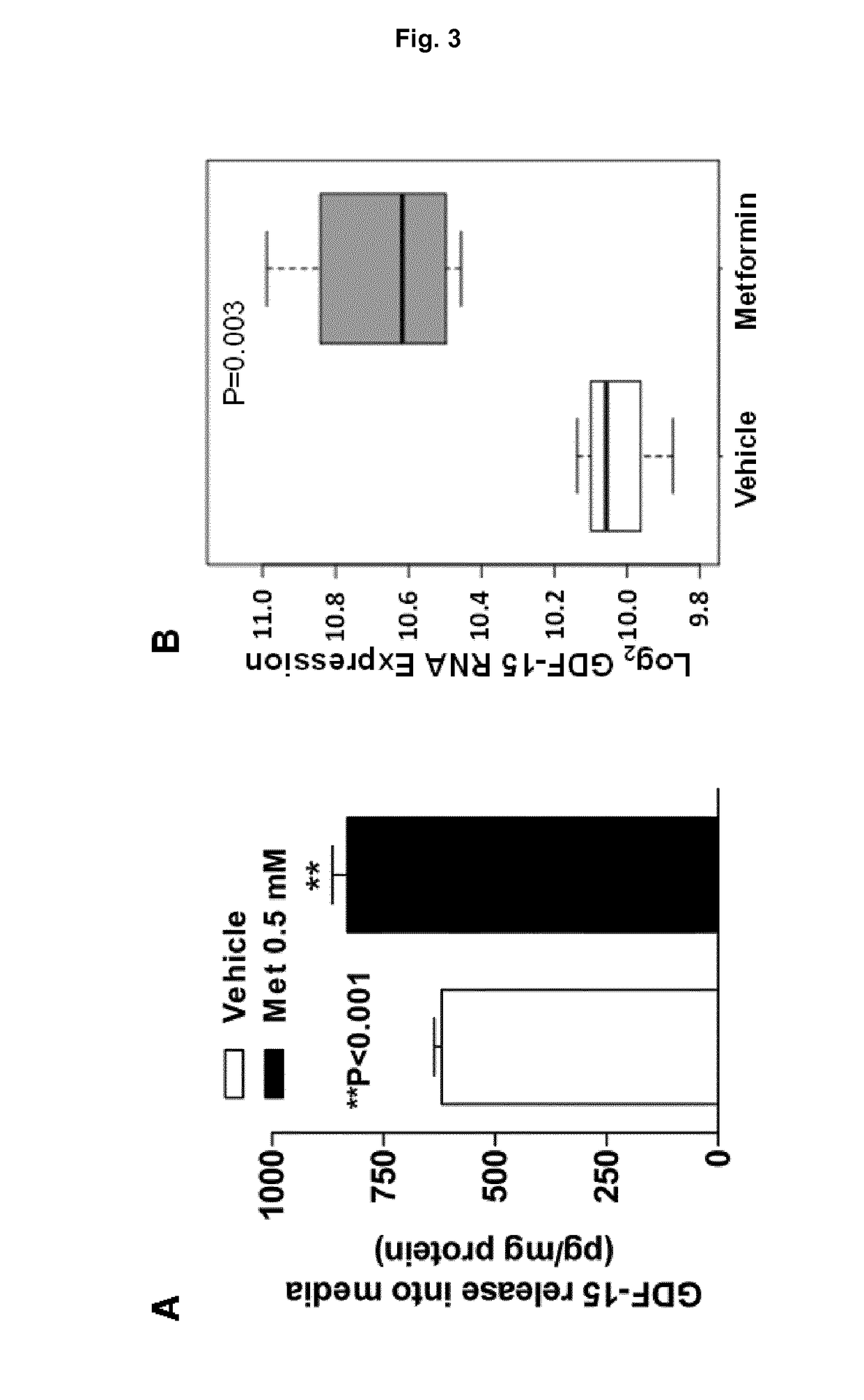 Growth Differentiation Factor 15 as Biomarker for Metformin