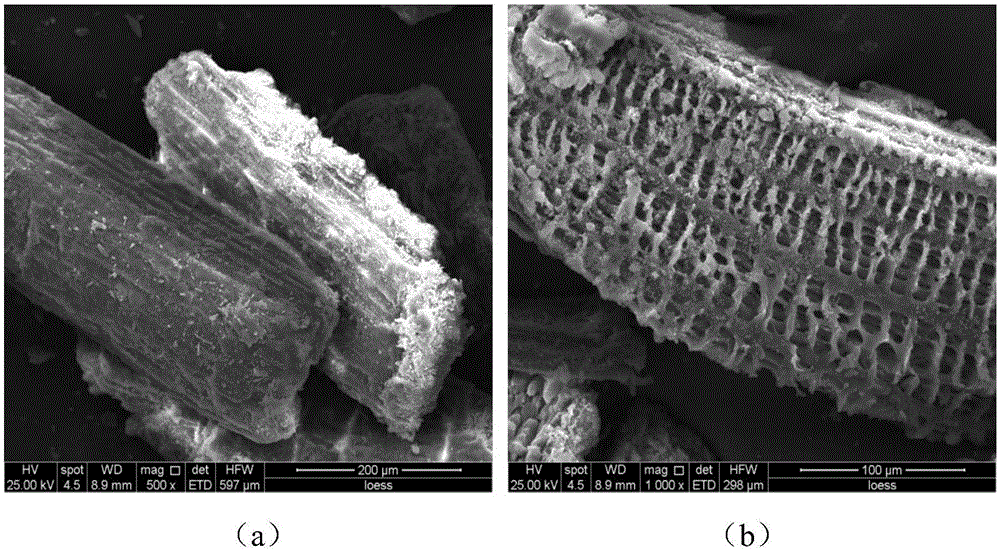 Cationic adsorbent prepared from grain stillage, preparation method for cationic adsorbent and application of cationic adsorbent