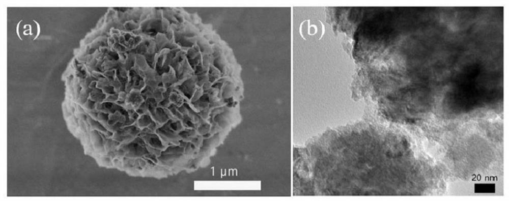 a mn  <sub>5</sub> o  <sub>8</sub> Nano cage oxygen reduction electrocatalyst and preparation method thereof