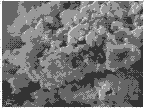 Method for preparing nitrogen carbon material by using animal waste, and application of nitrogen carbon material as oxygen reduction catalyst