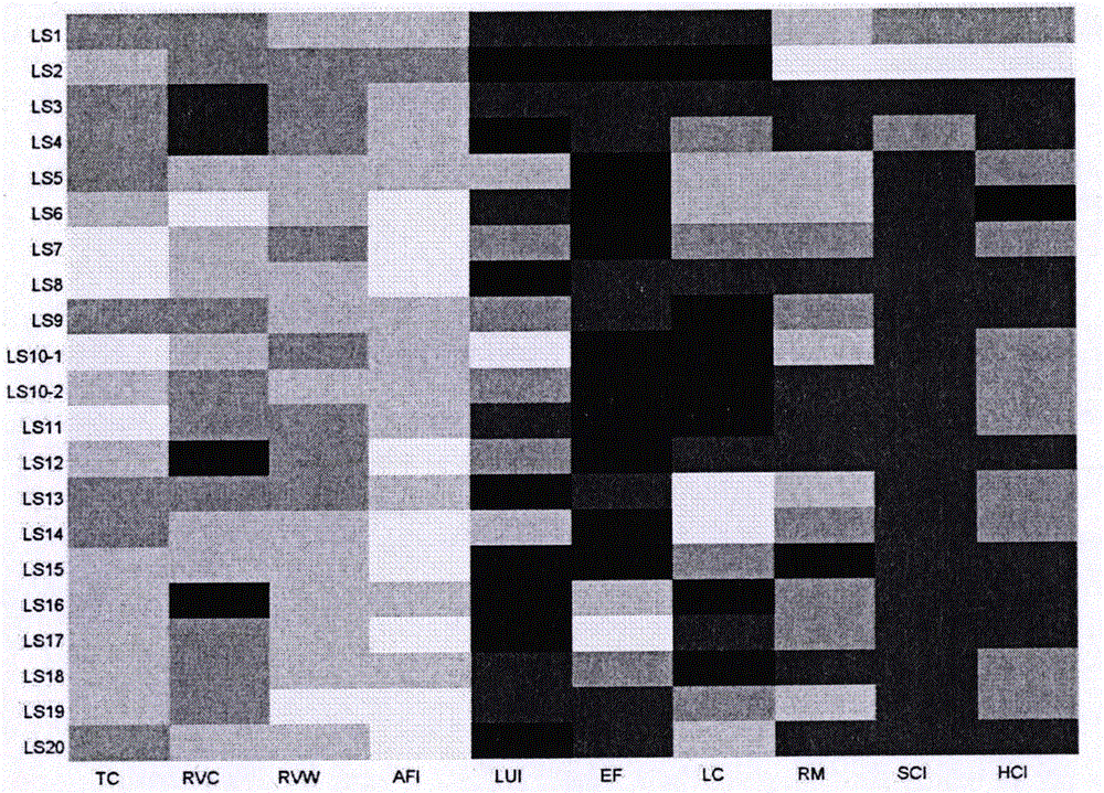 Integrity assessment technology for three-dimensional physical habitat of urban river