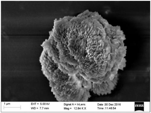 Sapo-34 hierarchical porous molecular sieve self-assembled in nanosheet spiral shape and preparation method thereof