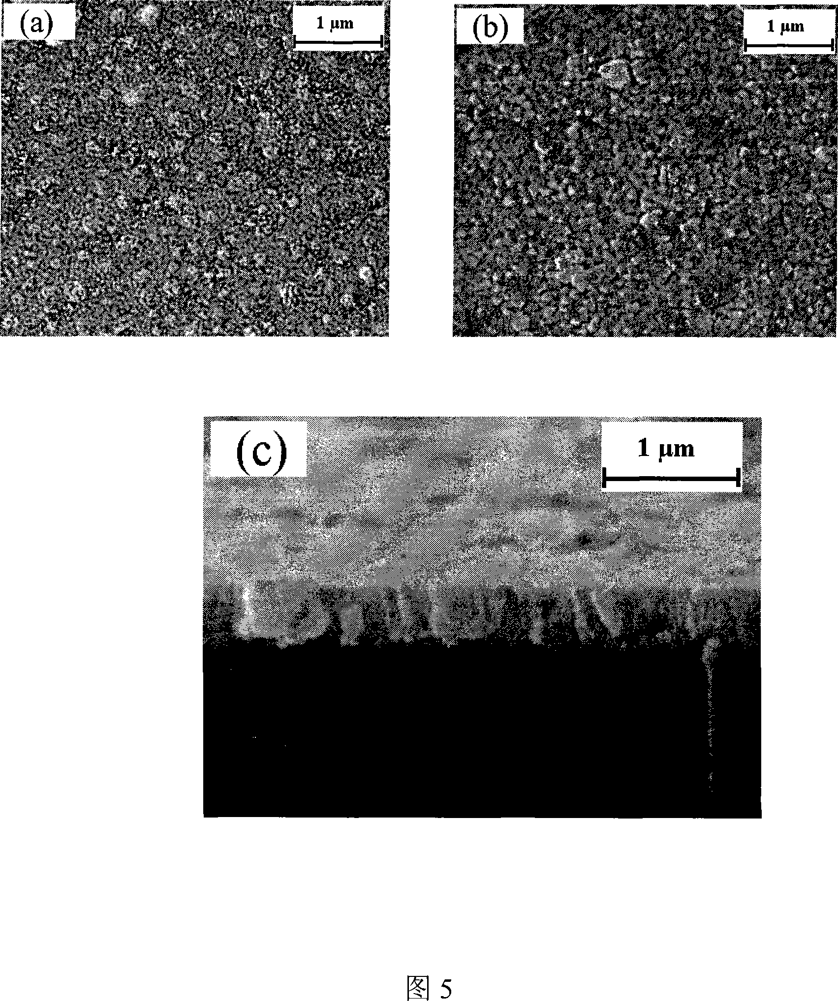 Epitaxial strontium barium niobate film possessing transparent conductive lithium nickel oxide bottom electrode and its preparation method