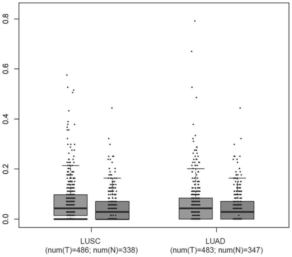 Application of linc00167 in the preparation of drugs for inhibiting tumor angiogenesis