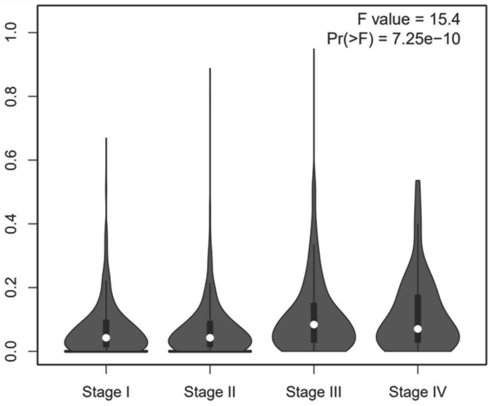 Application of linc00167 in the preparation of drugs for inhibiting tumor angiogenesis