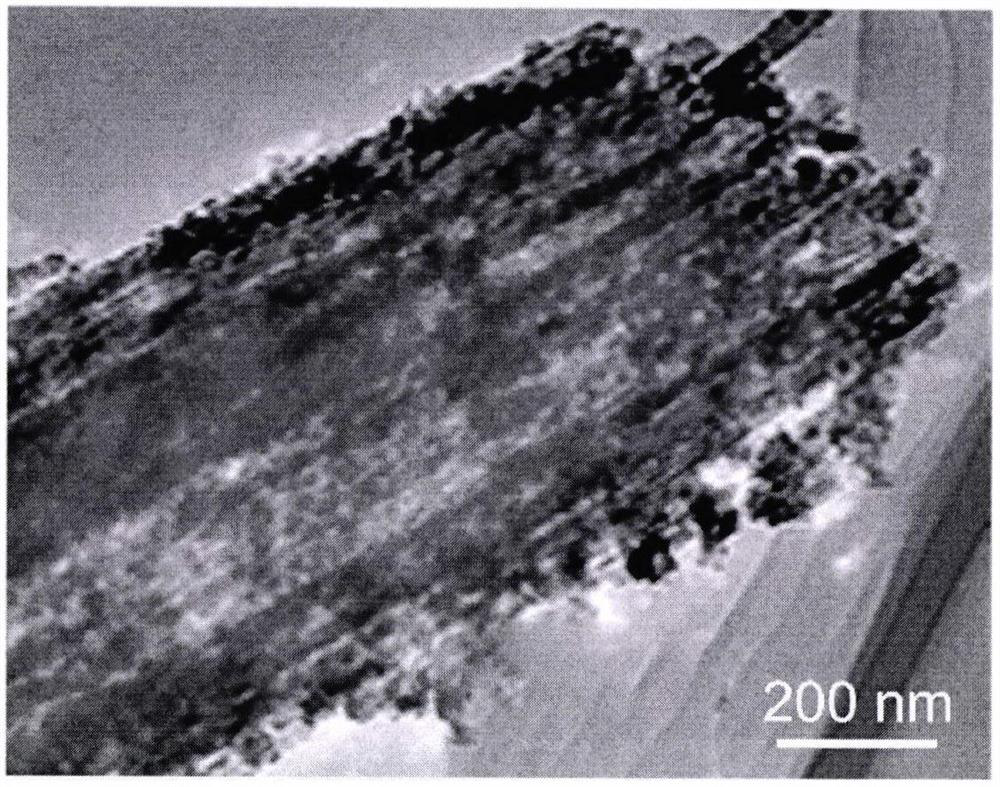 Application of phosphorus-doped titanium dioxide nanotube array catalyst in photoelectrocatalytic degradation of tylosin