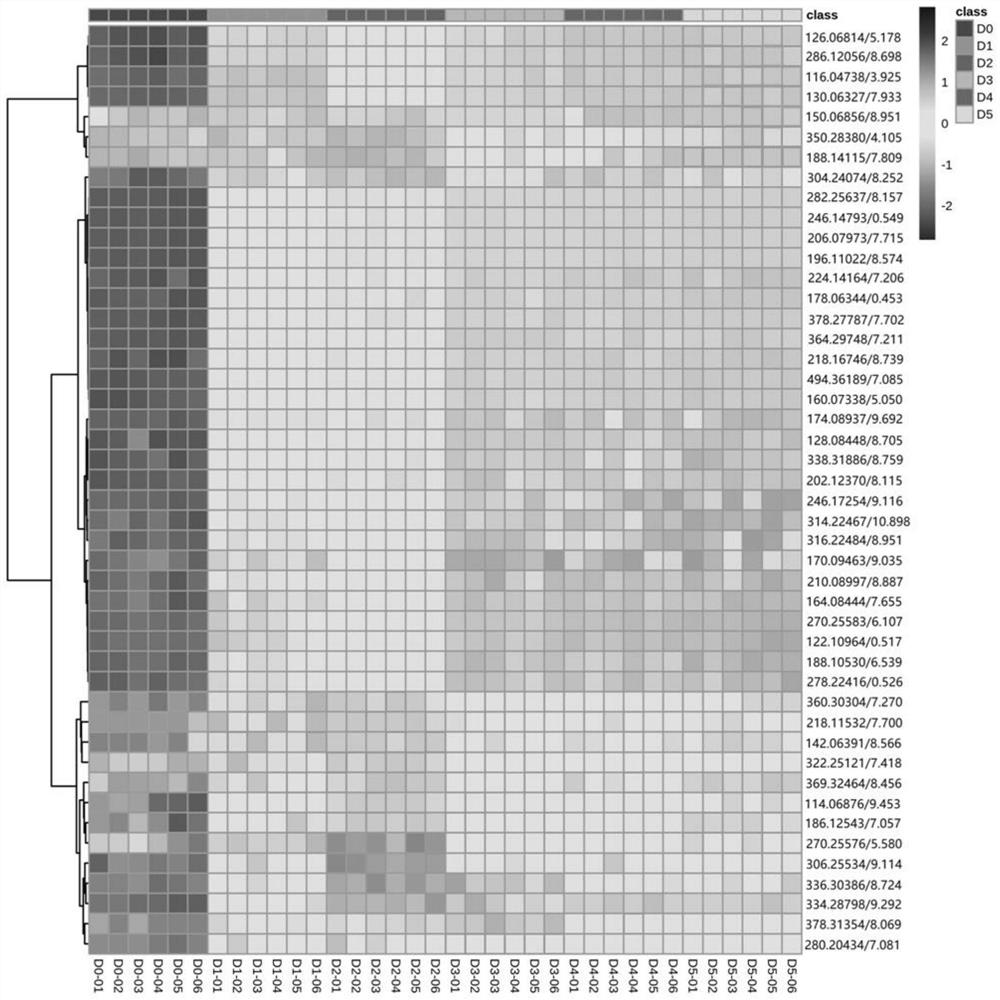 Liquor based on ultrasonic wave and ultraviolet light ripening acceleration, and ripening acceleration method and metabolic flux analysis method of liquor