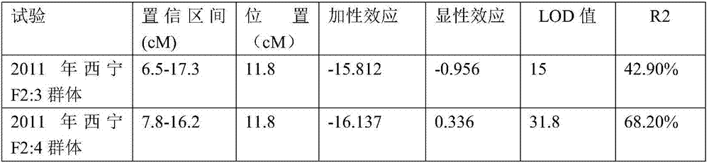 Molecular marker closely linked with rape plant height main effect QTL (quantitative trait locus) qPHC2 and application