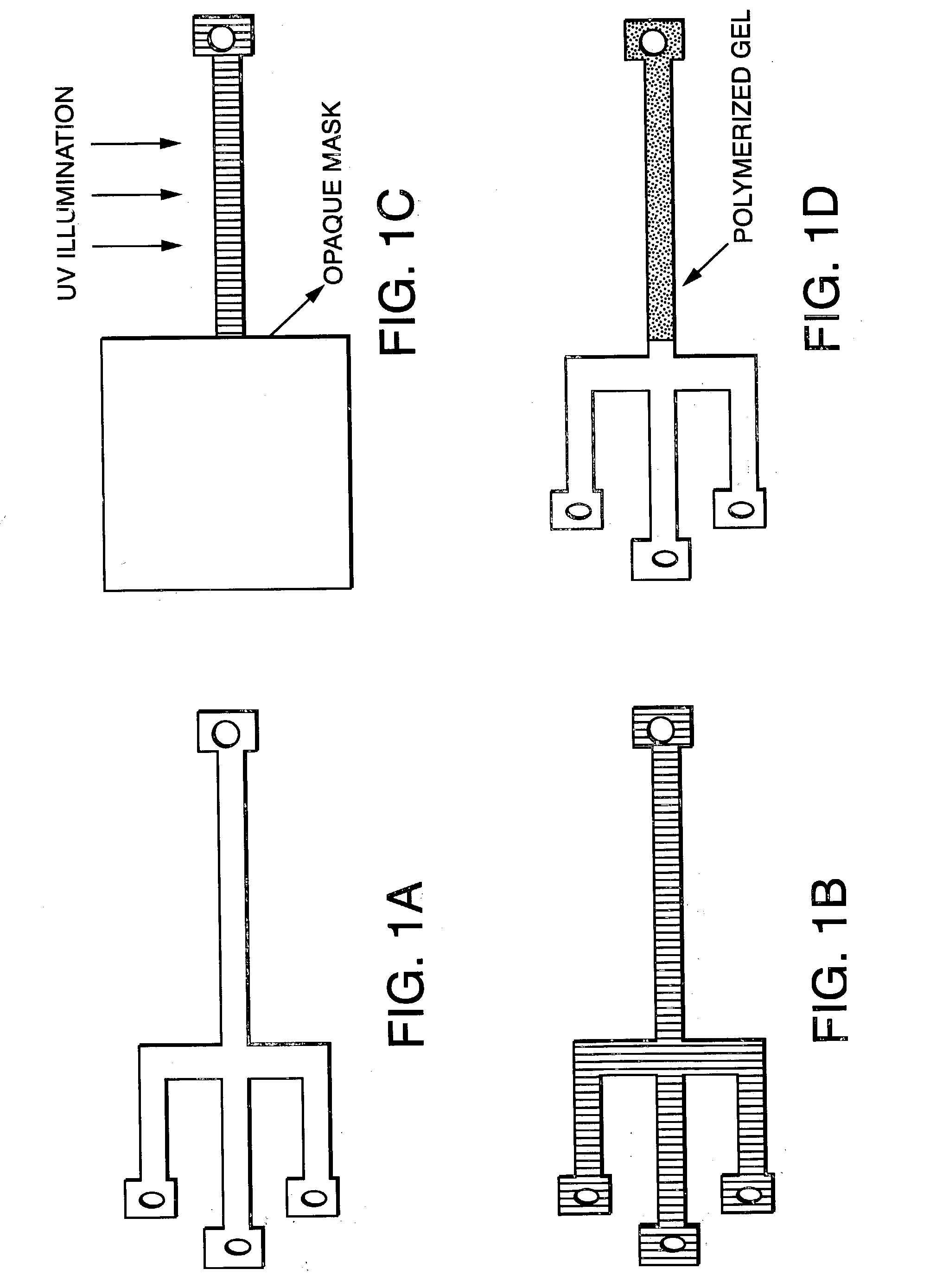 Electrophoresis in microfabricated devices using photopolymerized polyacrylamide gels and electrode-defined sample injection