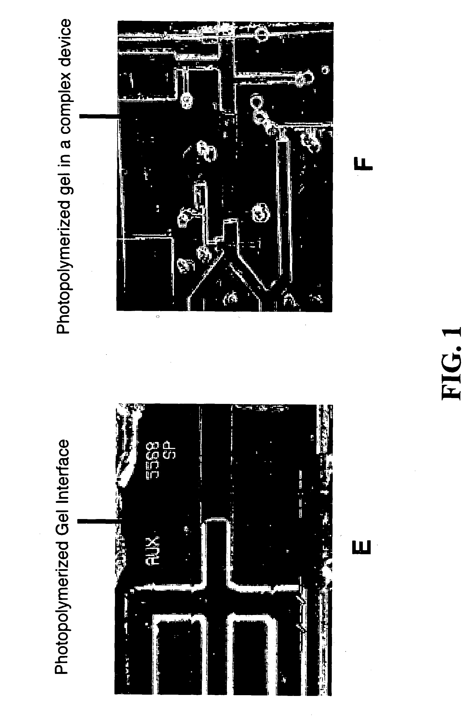 Electrophoresis in microfabricated devices using photopolymerized polyacrylamide gels and electrode-defined sample injection