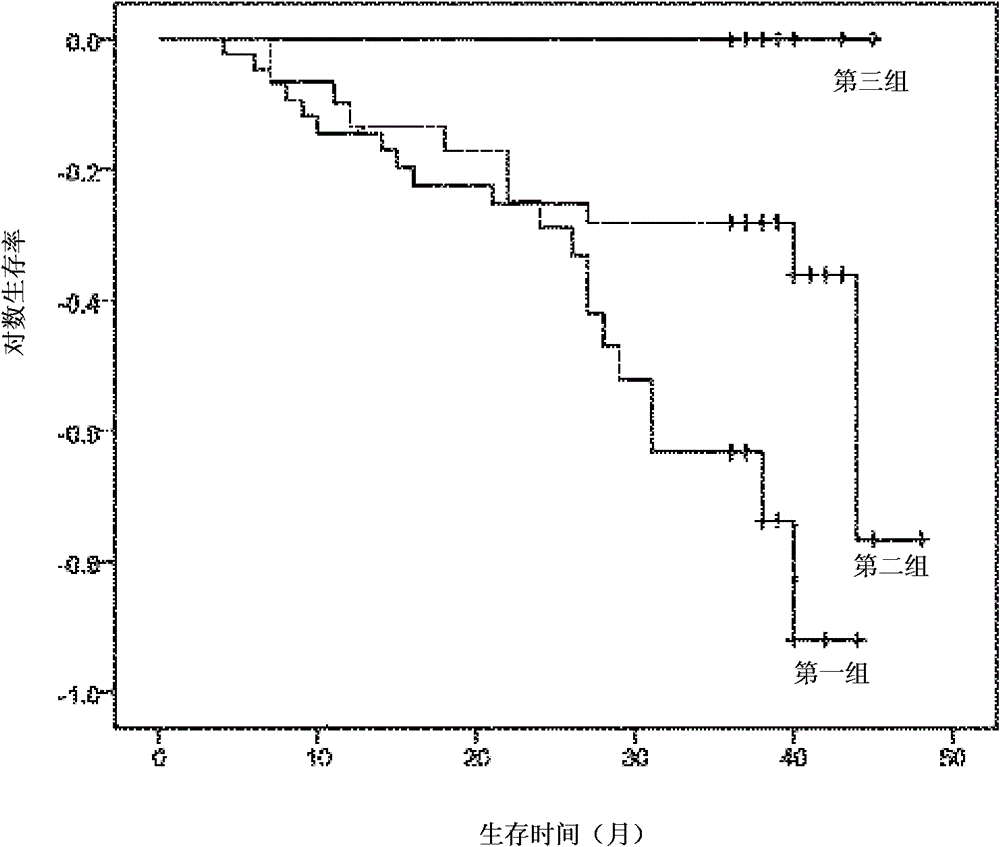 Detection method, probe set, and diagnostic kit for predicting postoperation recurrence-free survival of colorectal cancer via gene expression states of two probes