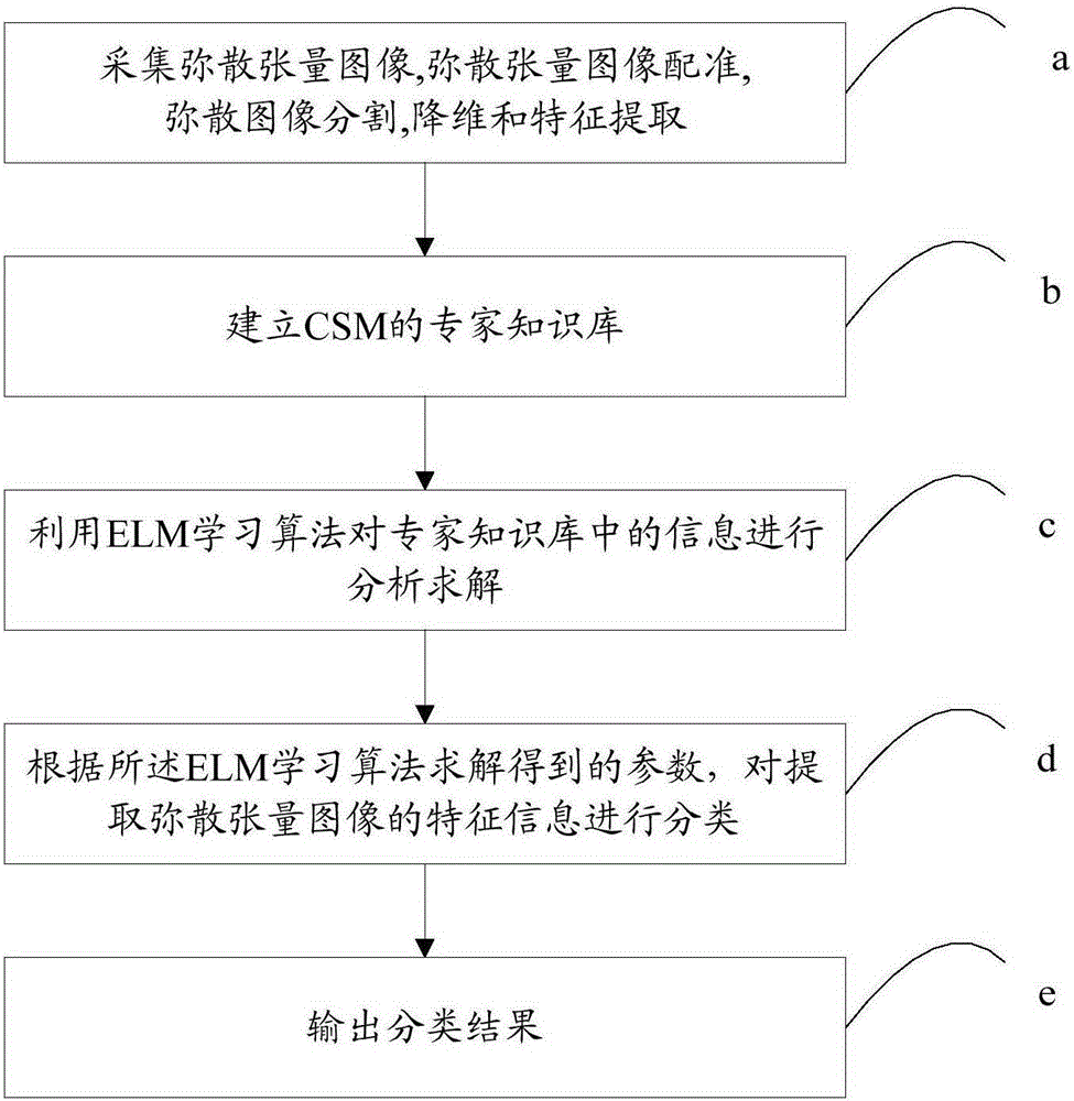 CSM assistant analysis system and method based on tensor image