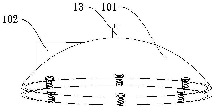 Salting device for dried fruit processing