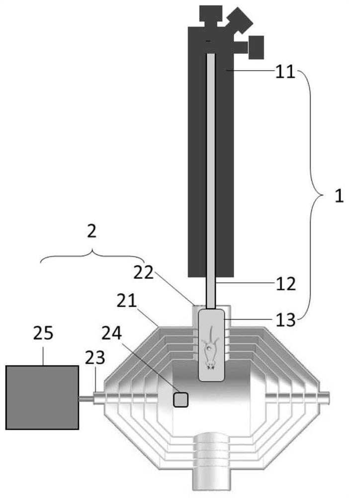 An ultra-low field magnetic imaging device for living small animals