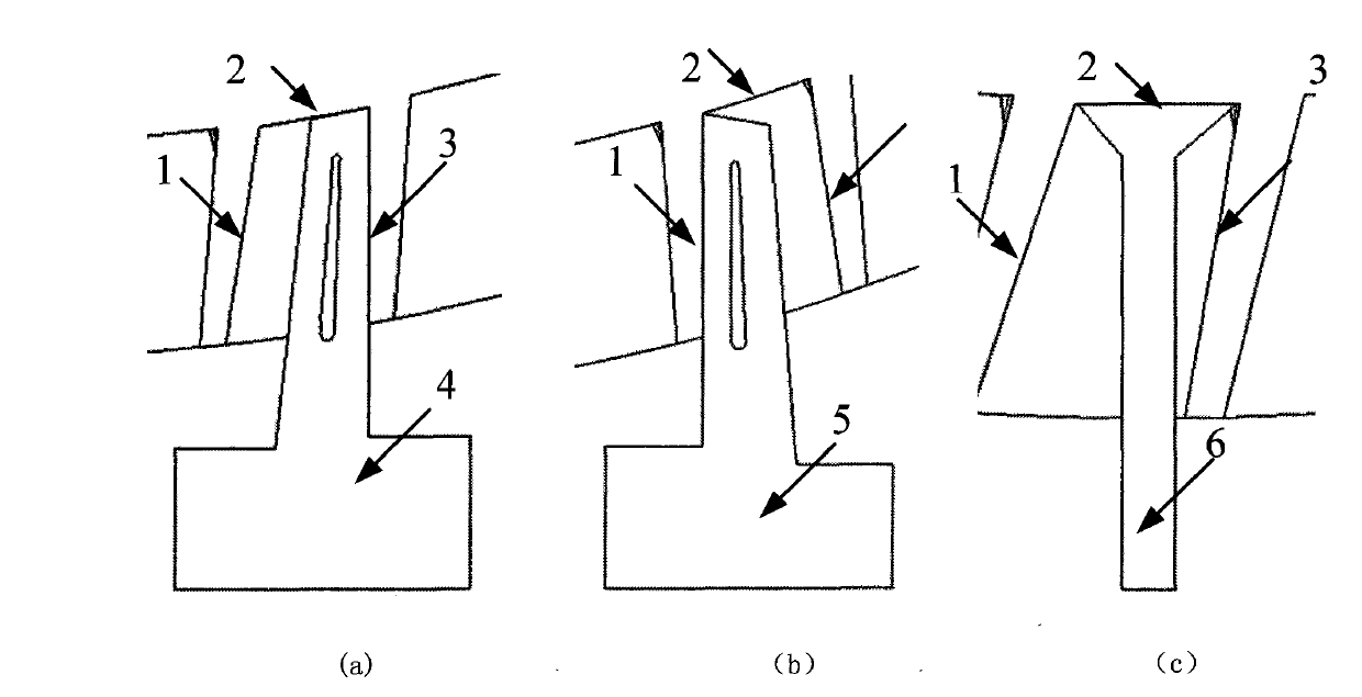 Step and zone type integral impeller electrolytic processing process and device