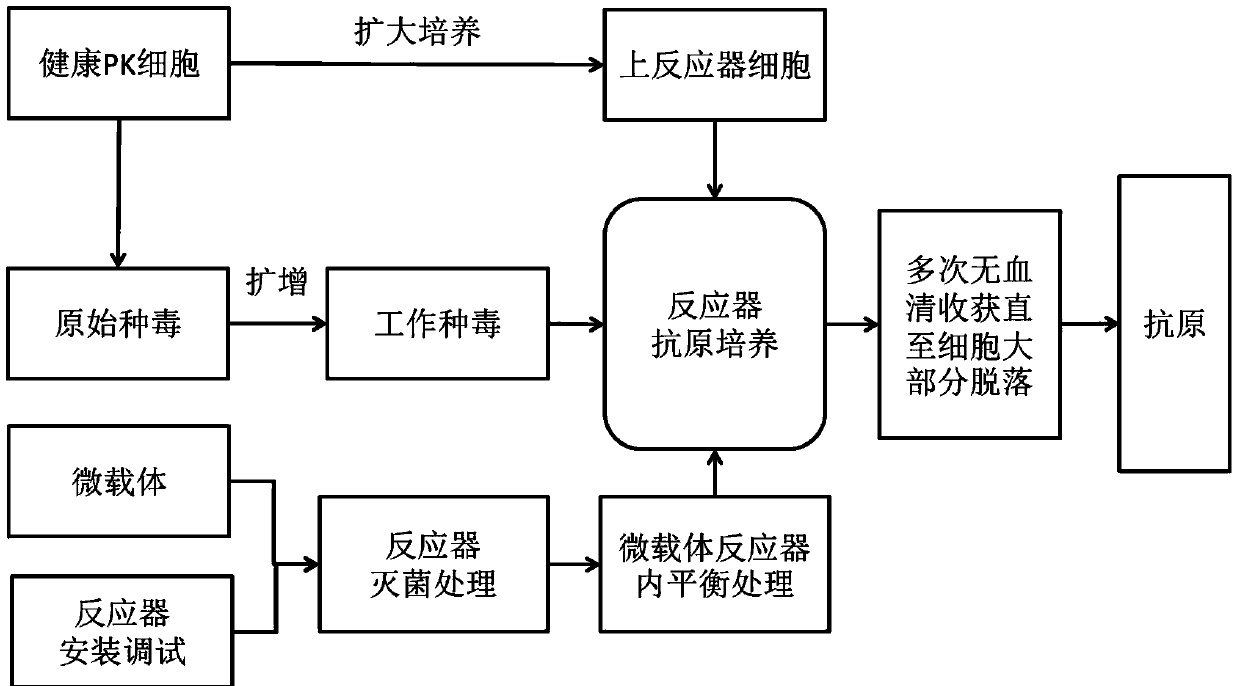 Method for producing porcine circovirus type 2 antigens in large scale with high density