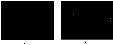 Recombinant phage double expression vector and application