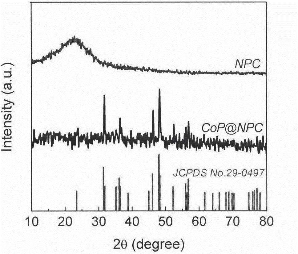 Preparation method of porous carbon-doped high-dispersion cobalt-phosphide-loaded material and application of porous carbon-doped high-dispersion cobalt-phosphide-loaded material in electro-catalysis hydrogen evolution